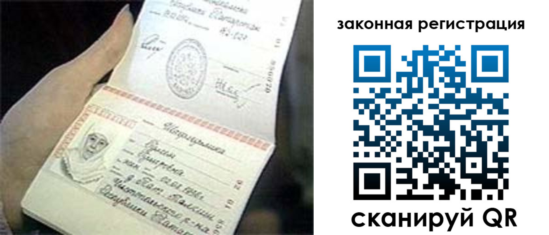 прописка для школы в Плавске